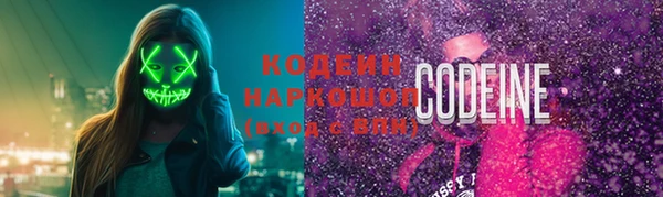 шишки Балахна
