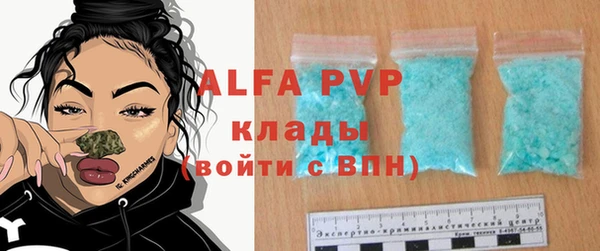 шишки Балахна