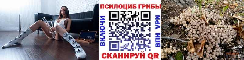Псилоцибиновые грибы MAGIC MUSHROOMS  Зарайск 