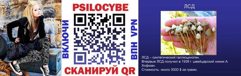 Псилоцибиновые грибы Magic Shrooms Зарайск